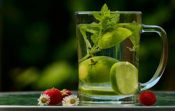 Best Liver Detox Herbal