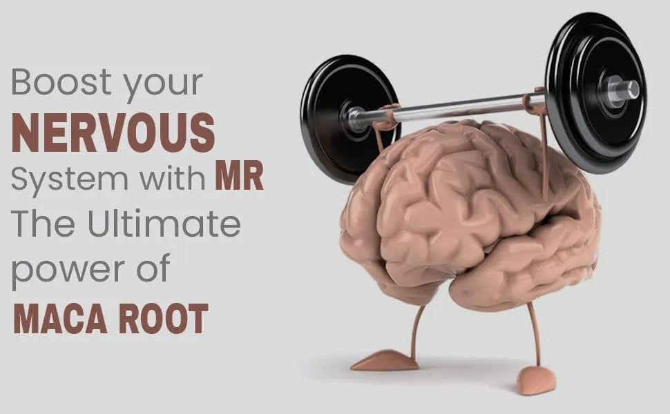 Maca Root Supplement for Men Herbal