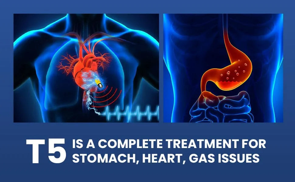 T5 Best Herbal Energy Supplement