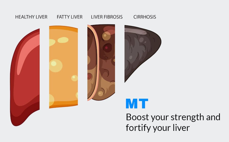 MT - Boost your strength and fortify your liver (ONAT KATARA) - (ملک تحصل اونٹ کٹارا مقوی جگر)